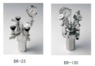 BERGHOF BR-25 / BR-100高壓反應(yīng)釜