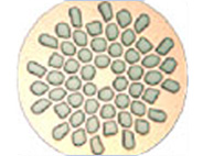 Oxford牛津鈮鈦銅鎳基線(xiàn)材