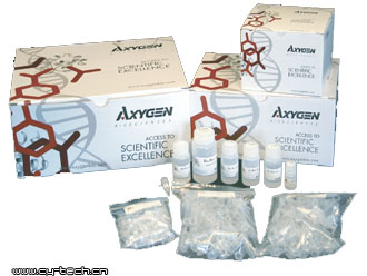 AXYGEN AP-MD-P-10AxyPrep質(zhì)粒DNA中/大量試劑盒 