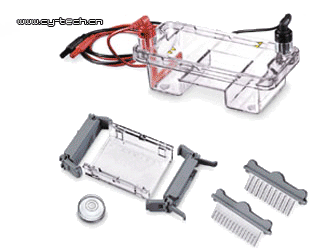 美國Labnet Sub System 70/150 電泳系統(tǒng) 